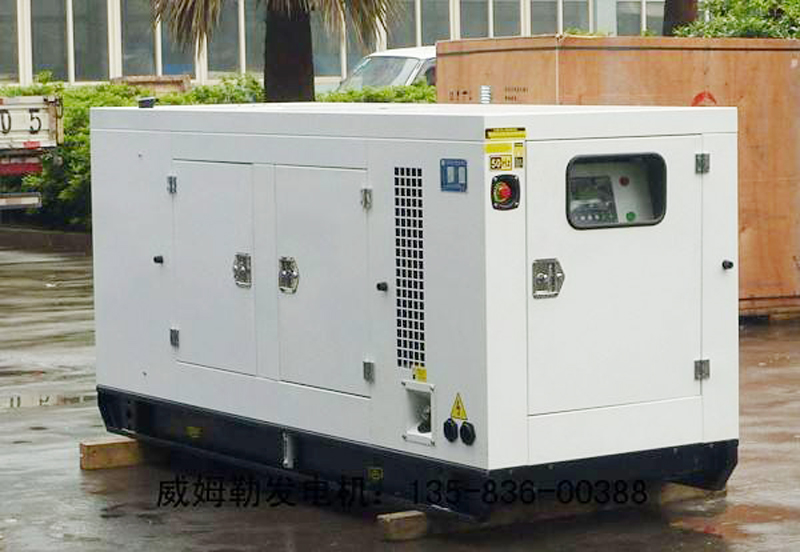 罗平简述发电机组的未来发展趋势